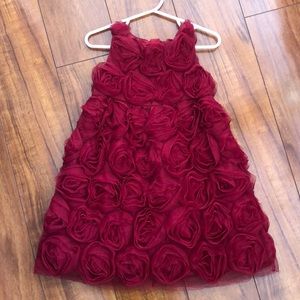 Baby gap rose dress